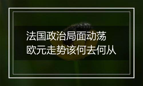 法国政治局面动荡 欧元走势该何去何从