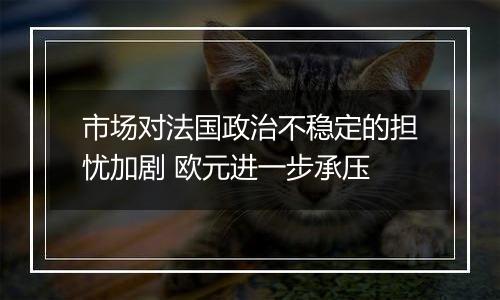 市场对法国政治不稳定的担忧加剧 欧元进一步承压