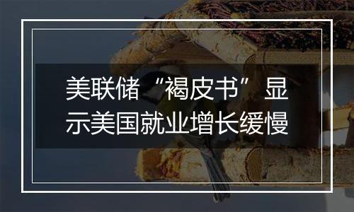 美联储“褐皮书”显示美国就业增长缓慢