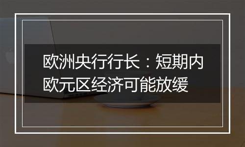 欧洲央行行长:短期内欧元区经济可能放缓