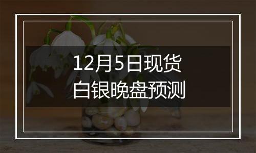 12月5日现货白银晚盘预测