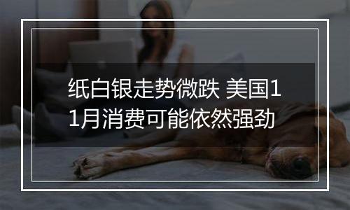 纸白银走势微跌 美国11月消费可能依然强劲