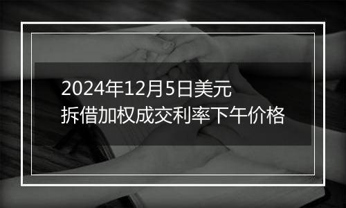 2024年12月5日美元拆借加权成交利率下午价格