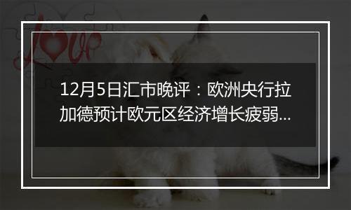 12月5日汇市晚评:欧洲央行拉加德预计欧元区经济增长疲弱 欧元/美元延续涨势至1.05上方