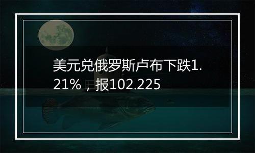 美元兑俄罗斯卢布下跌1.21%,报102.225