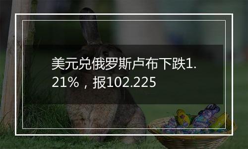 美元兑俄罗斯卢布下跌1.21%,报102.225