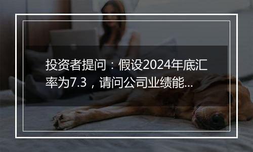 投资者提问:假设2024年底汇率为7.3,请问公司业绩能增厚几千万元?谢谢...