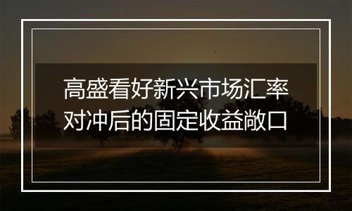 高盛看好新兴市场汇率对冲后的固定收益敞口