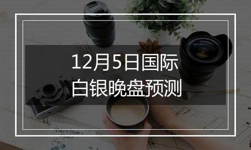 12月5日国际白银晚盘预测