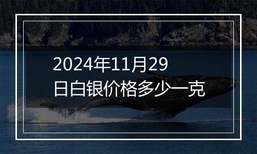 2024年11月29日白银价格多少一克