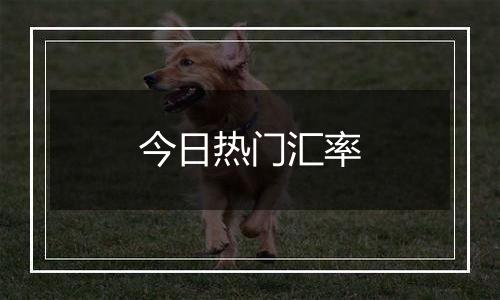 今日热门汇率