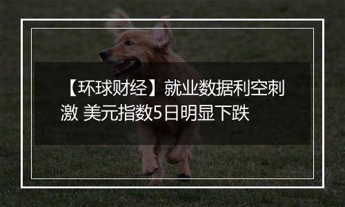 【环球财经】就业数据利空刺激 美元指数5日明显下跌