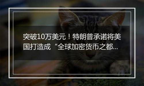 突破10万美元!特朗普承诺将美国打造成“全球加密货币之都”