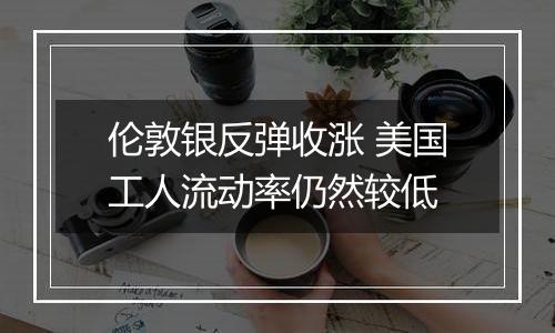 伦敦银反弹收涨 美国工人流动率仍然较低