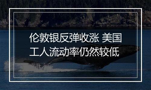 伦敦银反弹收涨 美国工人流动率仍然较低