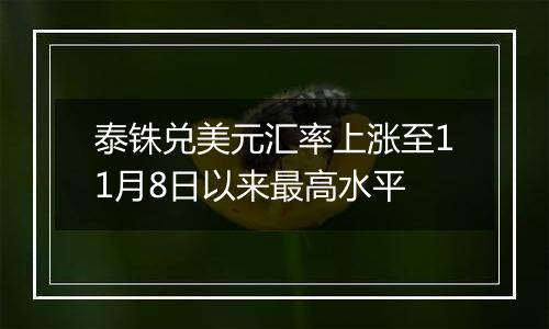 泰铢兑美元汇率上涨至11月8日以来最高水平