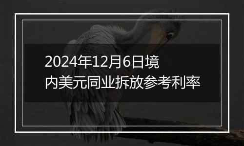 2024年12月6日境内美元同业拆放参考利率