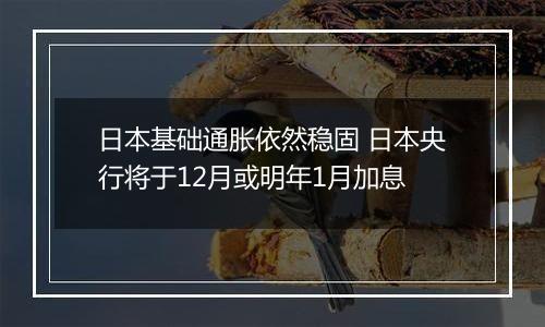 日本基础通胀依然稳固 日本央行将于12月或明年1月加息