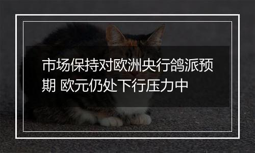 市场保持对欧洲央行鸽派预期 欧元仍处下行压力中
