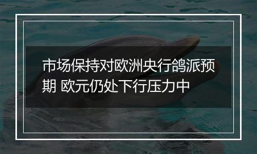 市场保持对欧洲央行鸽派预期 欧元仍处下行压力中