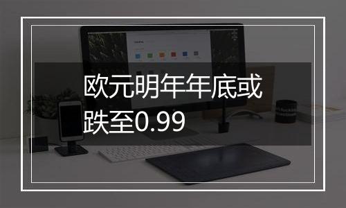 欧元明年年底或跌至0.99