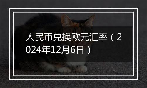 人民币兑换欧元汇率(2024年12月6日)
