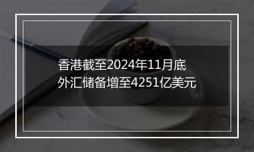 香港截至2024年11月底外汇储备增至4251亿美元