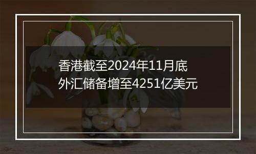 香港截至2024年11月底外汇储备增至4251亿美元