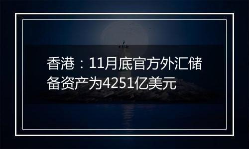 香港:11月底官方外汇储备资产为4251亿美元