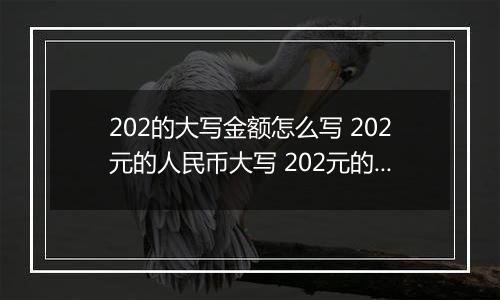 202的大写金额怎么写 202元的人民币大写 202元的数字大写
