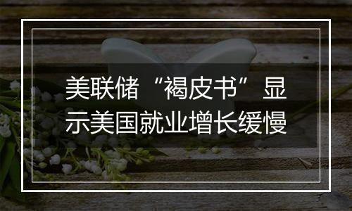 美联储“褐皮书”显示美国就业增长缓慢