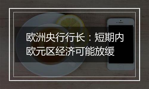 欧洲央行行长:短期内欧元区经济可能放缓