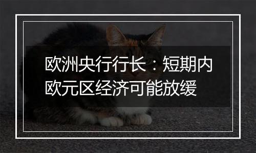 欧洲央行行长:短期内欧元区经济可能放缓