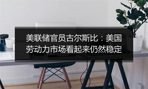 美联储官员古尔斯比:美国劳动力市场看起来仍然稳定