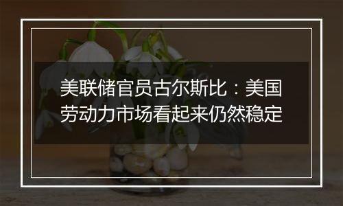 美联储官员古尔斯比:美国劳动力市场看起来仍然稳定