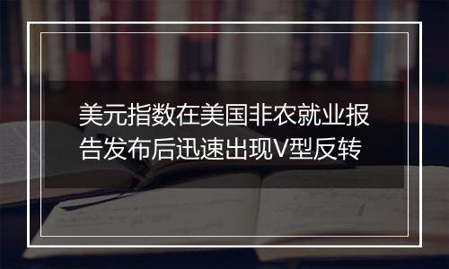 美元指数在美国非农就业报告发布后迅速出现V型反转