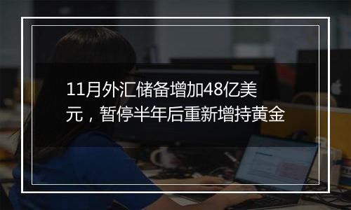 11月外汇储备增加48亿美元,暂停半年后重新增持黄金
