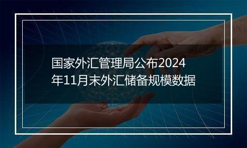 国家外汇管理局公布2024年11月末外汇储备规模数据