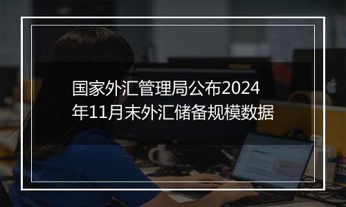 国家外汇管理局公布2024年11月末外汇储备规模数据