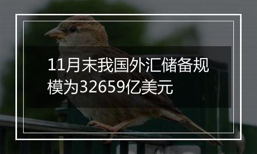 11月末我国外汇储备规模为32659亿美元