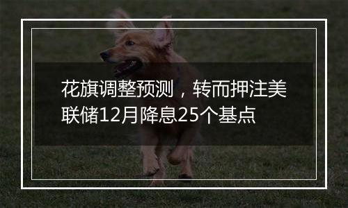 花旗调整预测,转而押注美联储12月降息25个基点