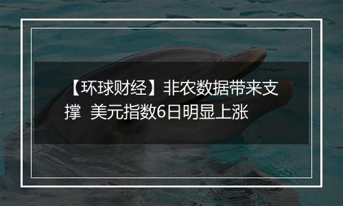 【环球财经】非农数据带来支撑 美元指数6日明显上涨