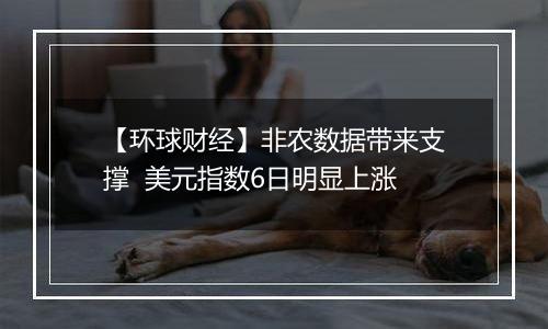 【环球财经】非农数据带来支撑 美元指数6日明显上涨