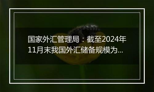 国家外汇管理局:截至2024年11月末我国外汇储备规模为32659亿美元