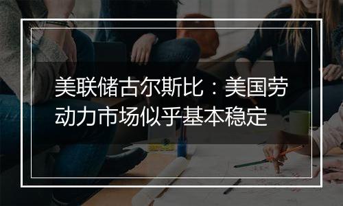 美联储古尔斯比:美国劳动力市场似乎基本稳定
