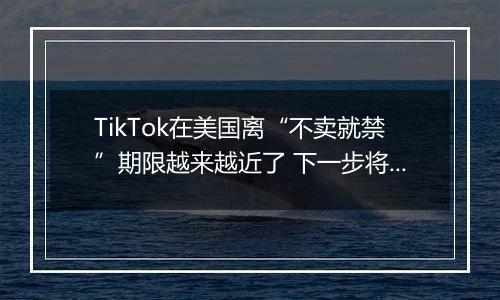 TikTok在美国离“不卖就禁”期限越来越近了 下一步将面临什么?