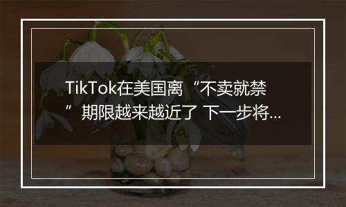 TikTok在美国离“不卖就禁”期限越来越近了 下一步将面临什么?