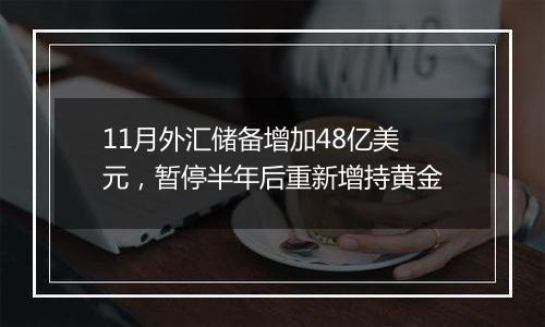 11月外汇储备增加48亿美元,暂停半年后重新增持黄金