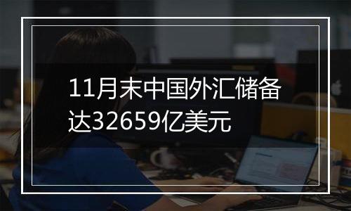 11月末中国外汇储备达32659亿美元