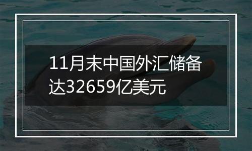 11月末中国外汇储备达32659亿美元